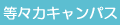X̓LpX
